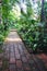 Straight brick walkway leads through lush green jungle garden