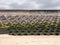 Straight concrete defensive sea wall on a sandy beach showing seaweed on the high tide mark and the precast construction