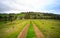 Straight country gravel road with grass in the middle. Farm land hill ahead