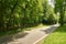 Straight empty road on sunny day