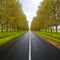 Straight empty wet road between trees. Loire valley. France.