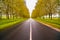 Straight empty wet road between trees. Loire valley. France.