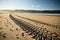 Straight engine tyre trace track on a sandy beach in hendaye