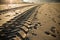 Straight engine tyre trace track on a sandy beach in hendaye