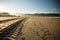 Straight engine tyre trace track on a sandy beach in hendaye