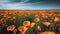 A straight on far away shot of a field of many bright orange poppy flowers with a level horizon. Generative AI