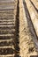 Straight furrows crossing at a right angle in a potato field