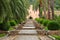 Straight garden walkway with cobblestones