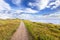 Straight gravel path in landscape