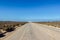 straight gravel road through the nullarbor dessert of Australia with sand hills in the distance, South Australia, Australia