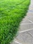 straight line of new manicured green turf carpet along a stone sidewalk in a city park or backyard. Landscape design