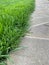 straight line of new manicured green turf carpet along a stone sidewalk in a city park or backyard. Landscape design