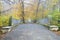 Straight and long forest park footpath with bridge