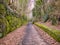 A straight, muddy path with fallen leaves through a disused railway cutting