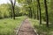 Straight pathway in the woods.