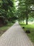 Straight paved walkway in urban summer park