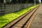 Straight railway for commuter line with green bushes photo taken in Depok Indonesia