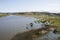 Straight River Surrounded by Vegetation