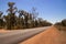 Straight road disappearing into the distance through burnt wild countryside