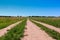 A straight road in a field going off into the distance