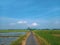 Straight road in the middle of vast rice fields. Green rice fields in a tropical Southeast Asian agricultural country.