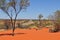 Straight road to Uluru - Kata Tjuta National Park in Australia