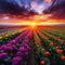 Straight rows flowers to beautiful sunset