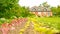 Straight rows of green and purple plants growing on huge farm field with farm house on background. Selective focuse. Seedling