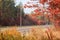 Straight section of motorway with forest on both sides autumn