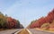 Straight section of motorway with forest on both sides autumn