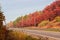 Straight section of motorway with forest on side in autumn