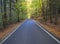 Straight Stretch of a Asphalt road through colorful deciduous forest in the autumn with fallen leaves of oak and Maple