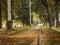 Straight tram line through Maidan, Kolkata