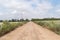 Straight unsealed road in countryside, rural area background