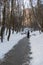 Straight walking path among tree trunks on snowy slopes  winter park background