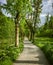 Straight walking path with trees on either side