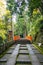 A straight walking trail through a forest and over a Japanese bridge in the fall with hints of colors