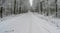 straight winter road covered in snow in Sweden