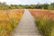 Straight wooden pedestrian path in dutch nature