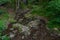 Strait valley with Rotschbach creek and Kesselfall waterfall without water