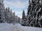 Straja,ski resort Romania , Vulcan mountain