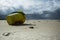 Strand op Vlieland, Beach at Vlieland