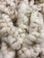 Strand of thick, warm, white sheep wool in beige and brown natural colors, maybe carpet wool