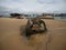 Stranded broken wooden shipwrecks on fishing boat naval graveyard marine cemetery in Magouer Etel river Brittany France