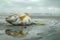 Stranded Fish on Wet Sand with Overcast Sky.