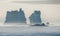 Stranded icebergs in the misty waters of the Labrador sea at mid