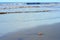 Stranded jellyfish on Hilton Head Island Beach