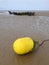 Stranded wreck and yellow buoy