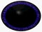 Strange alien eye. Animal eye with purple colored iris, detail view into eye bulb. Movement of pupil.