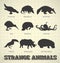Strange Animal Silhouettes